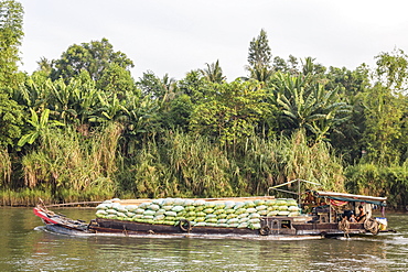 Daily Vietnamese river life at Chau Doc, Mekong River Delta, Vietnam, Indochina, Southeast Asia, Asia