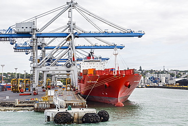 View of the city of Auckland from the harbour, North Island, New Zealand, Pacific