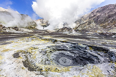 Boiling mud at an active andesite stratovolcano on White Island, off the east side of North Island, New Zealand, Pacific