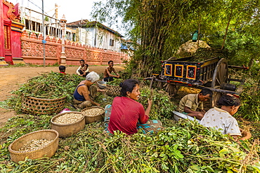 The village of Angkor Ban, on the banks of the Mekong River, Battambang Province, Cambodia, Indochina, Southeast Asia, Asia