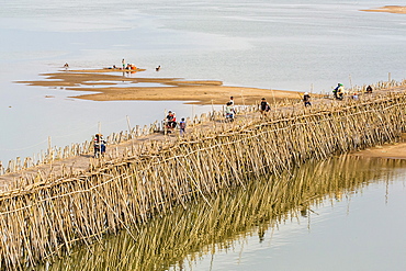 Bamboo bridge along the Mekong River near the capital city of Phnom Penh, Cambodia, Indochina, Southeast Asia, Asia 