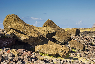 Fallen moai at Ahu Akahanga on Easter Island (Isla de Pascua) (Rapa Nui), UNESCO World Heritage Site, Chile, South America 