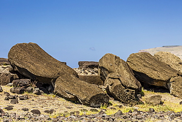 Fallen moai at Ura Uranga Te Mahina ceremonial site on Easter Island (Isla de Pascua) (Rapa Nui), UNESCO World Heritage Site, Chile, South America 