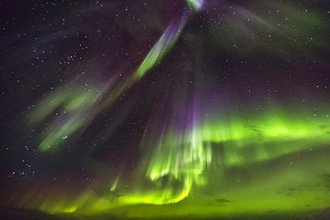 Aurora borealis (Northern Lights) dance above the Lindblad Expeditions ship National Geographic Explorer in Hudson Strait, Nunavut, Canada, North America 