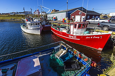 Fishing vessels inside the harbor at Bonavista, Newfoundland, Canada, North America