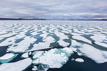 Shorefast ice starting to melt in Maxwell Bay, Devon Island, Nunavut, Canada, North America