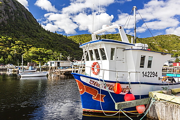 Small harbour with fishing boats outside St. John's, Newfoundland, Canada, North America