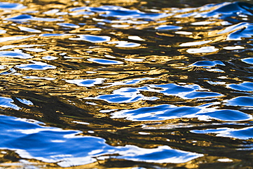 Reflections in the Pacific Ocean, Fernandina Island, Galapagos Islands, Ecuador, South America