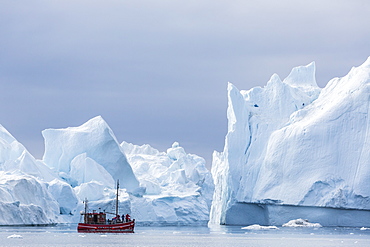 A commercial iceberg tour amongst huge icebergs calved from the Ilulissat Glacier, UNESCO World Heritage Site, Ilulissat, Greenland, Polar Regions