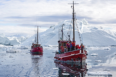 Commercial iceberg tours amongst huge icebergs calved from the Ilulissat Glacier, UNESCO World Heritage Site, Ilulissat, Greenland, Polar Regions