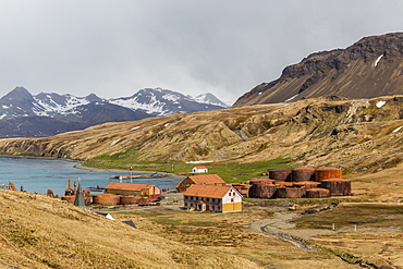 The abandoned and recently restored whaling station at Grytviken, South Georgia, UK Overseas Protectorate, Polar Regions