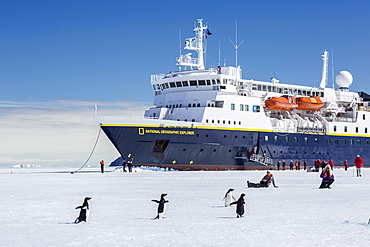 The Lindblad Expeditions ship National Geographic Explorer wedged into fast ice, Duse Bay, Weddell Sea, Antarctica, Polar Regions