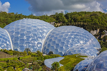 The Eden Project, the complex consists of huge greenhouse domes simulating different biomes from around the world, St. Austell, Cornwall, England, United Kingdom, Europe