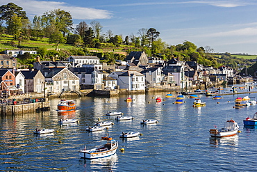 Early morning light on small boats at anchor in the harbour at Fowey, Cornwall, England, United Kingdom, Europe