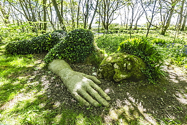 A walk through the Lost Gardens of Heligan, Pentewan, near Mevagissey, Cornwall, England, United Kingdom, Europe