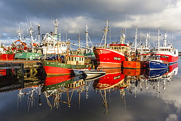 Sunset reflected on the commercial fishing fleet at Killybegs, the largest fishing port in Ireland, County Donegal, Ulster, Republic of Ireland, Europe