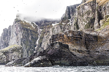 Steep cliffs filled with nesting birds on the south side of Bjornoya (Bear Island), Svalbard, Norway, Scandinavia, Europe