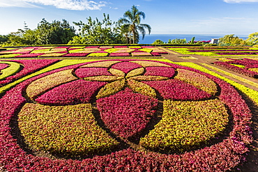 A view of the Botanical Gardens, Jardim Botanico do Funchal, in the city of Funchal, Madeira, Portugal, Europe