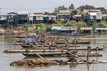 Cham people using a Dai fishing system for trei real fish on the Tonle Sap River, Cambodia, Indochina, Southeast Asia, Asia