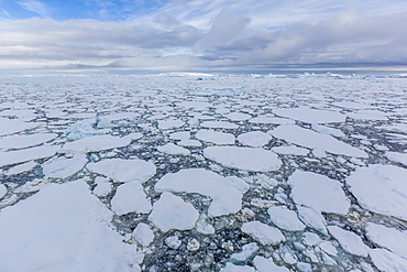 Ice floes choke the waters of the Lemaire Channel, Antarctica, Polar Regions