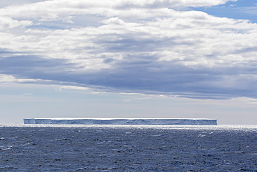 Tabular iceberg in the Gerlache Strait, Antarctica, Polar Regions