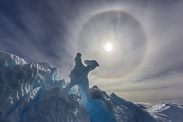 Complete sun halo and glacial iceberg detail at Cuverville Island, Antarctica, Polar Regions