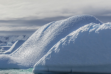 Glacial iceberg detail at Cuverville Island, Antarctica, Polar Regions