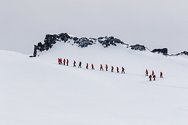 Lindblad Expeditions guests from the National Geographic Explorer hiking at Orne Harbor, Antarctica, Polar Regions