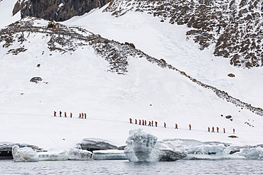 Lindblad Expeditions guests from the National Geographic Explorer at Brown Bluff, Weddell Sea, Antarctica, Polar Regions