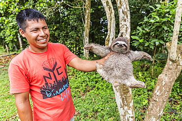 A man with his pet brown-throated sloth (Bradypus variegatus), San Francisco Village, Loreto, Peru, South America