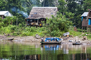 Small village on the El Dorado River, Upper Amazon River Basin, Loreto, Peru, South America