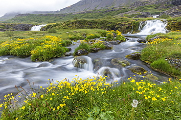 Dynjandi, Fjallfoss, a series of waterfalls located in the Westfjords (Vestfirdir), Iceland, Polar Regions