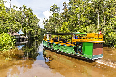 Klotok with tourists on the Sekonyer River, Tanjung Puting National Park, Kalimantan, Borneo, Indonesia, Southeast Asia, Asia