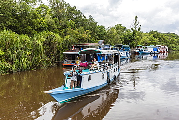 Klotok with tourists on the Sekonyer River, Tanjung Puting National Park, Kalimantan, Borneo, Indonesia, Southeast Asia, Asia