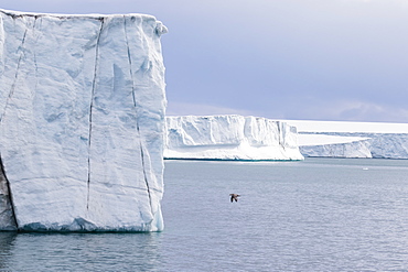 Glacier face at Negribreen, Eastern coast of Spitsbergen, an island in the Svalbard Archipelago, Arctic, Norway, Europe