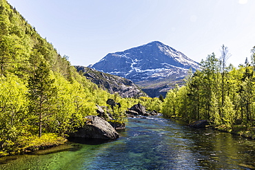 Ice melt river winding through secondary forest in Hellmebotyn, Tysfjord, Norway, Scandinavia, Europe