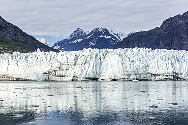 Lamplugh Glacier in Glacier Bay National Park, southeast Alaska, United States of America, North America