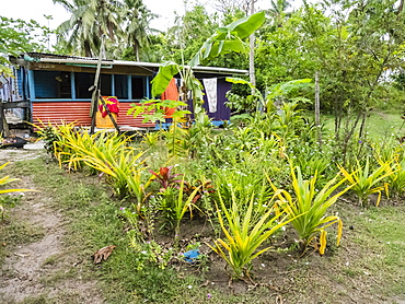 Village home on the small island of Dravuni, Kadavu Group, Republic of Fiji, South Pacific Islands, Pacific