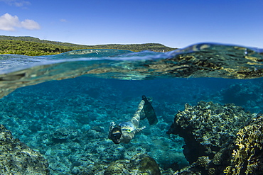 Snorkeling the pristine reefs on the remote Island of Alofi in The French Territory of Wallis and Futuna Islands, South Pacific Islands, Pacific