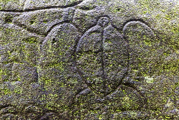 Petroglyphs carved into basalt on sacred ground at Hatiheu, Nuku Hiva, Marquesas, French Polynesia, South Pacific, Pacific