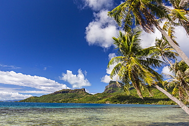 Palm lined inner lagoon of Bora Bora, Society Islands, French Polynesia, South Pacific, Pacific