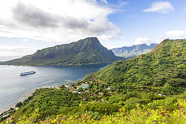 Overlooking Opunohu Bay of Moorea, Society Islands, French Polynesia, South Pacific, Pacific