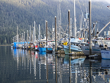 View of the commercial fishing fleet docked in the harbour at Petersburg, Southeast Alaska, United States of America