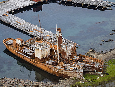 Old whaling catcher ships at Grytviken, now cleaned and refurbished for tourism on South Georgia Island, Atlantic Ocean