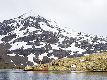 The abandoned remains of the whaling ship Brutus in Prince Olav Harbour, Cook Bay, South Georgia Island, Atlantic Ocean
