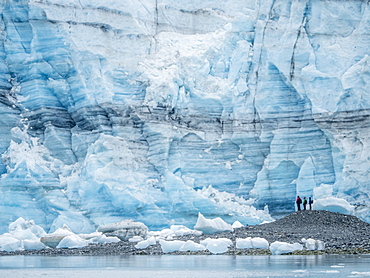 Hikers in front of Lamplugh Glacier, Glacier Bay National Park and Preserve, UNESCO World Heritage Site, Alaska, United States of America, North America