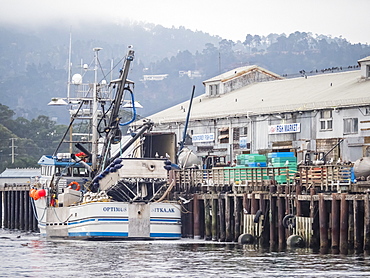 Early morning fog in Monterey Harbor, Monterey Bay National Marine Sanctuary, California, United States of America, North America