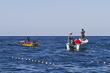 Panga fisherman setting nets, Isla San Marcos, Gulf of California (Sea of Cortez), Baja California Sur, Mexico, North America