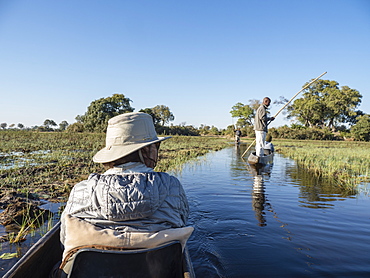 Tourists being poled through the shallow water by Mokoro in the Okavango Delta, Botswana, Africa