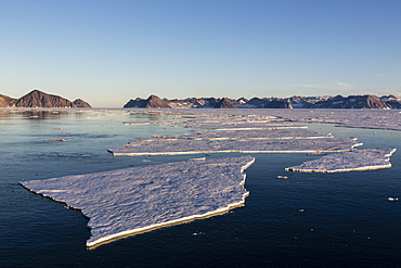 First year sea ice in Kong Oscar Fjord, Northeast Greenland, Polar Regions